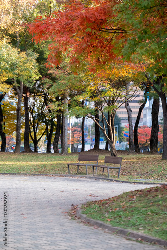 Wallpaper Mural Benches at Yeouido Park along the walkway with colorful leaves tree, autumn foliage. It is a park in Yeongdeungpo District, Seoul, South Korea. Torontodigital.ca