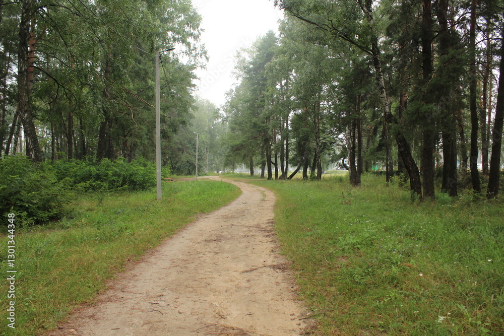 The road in the park is through the green area between the trees and the lawn The road in the park is through the green area between the trees and the lawn
