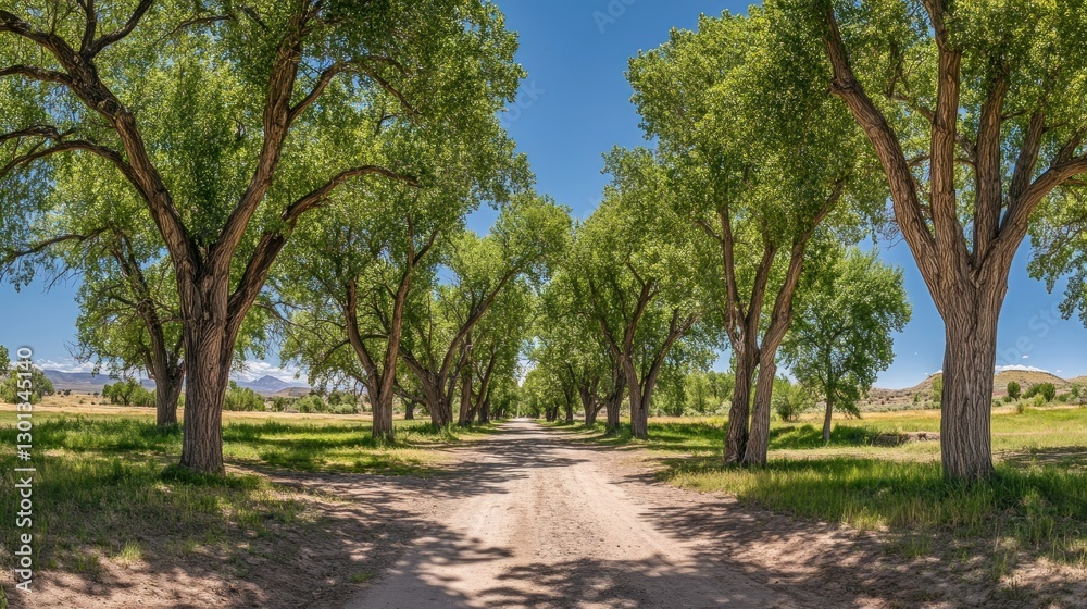 A scenic road winds through the majestic trees under a bright blue sky A scenic road winds through the majestic trees under a bright blue sky