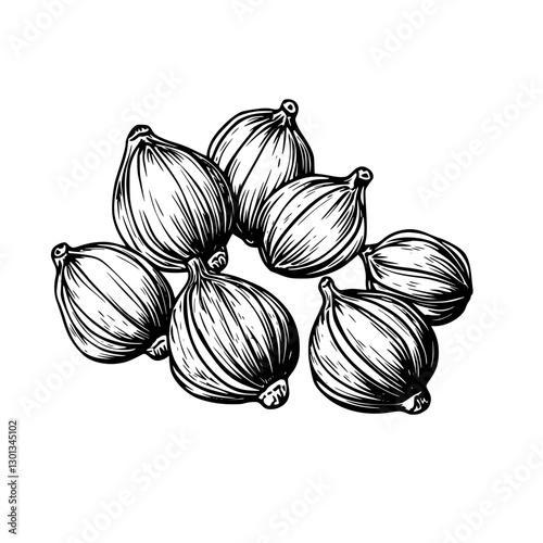 Engraved vector illustration showcasing a cluster of figs for product design applications
