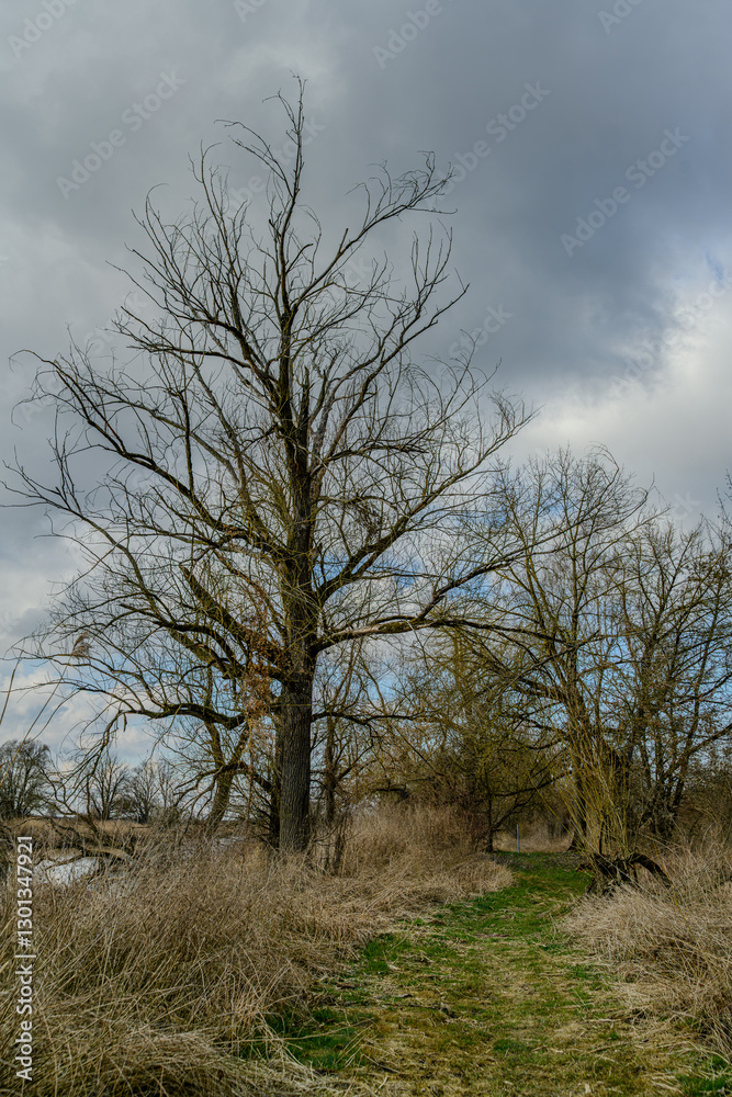 Wandern am Bogener Donau-Altarm an einem frühlingshaften Märztag Wandern am Bogener Donau-Altarm an einem frühlingshaften Märztag