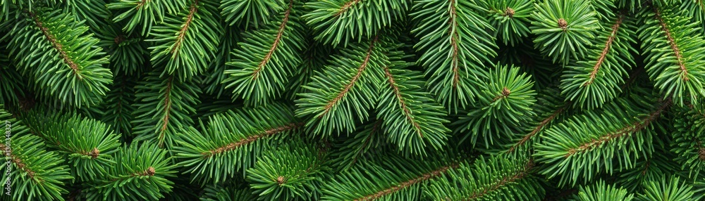 Lush Green Pine Needle Background for Natural and Forest Themes Lush Green Pine Needle Background for Natural and Forest Themes