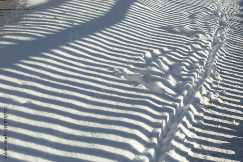 A striking winter scene capturing the interplay of light and shadow on freshly fallen snow. The long, parallel shadows create a mesmerizing striped pattern, likely cast by a fence or railing