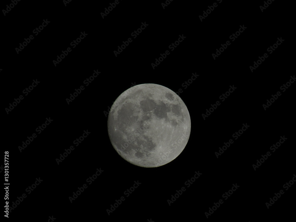 full moon in the night