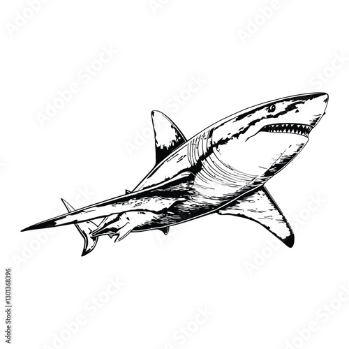 shark coloring book page design