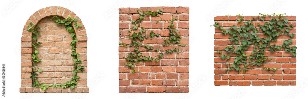 Obraz premium Brick Wall with Green Ivy Plant Decoration Isolated on transparent background