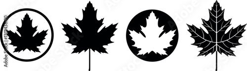 Maple leaf logo. Isolated maple leaf on white background