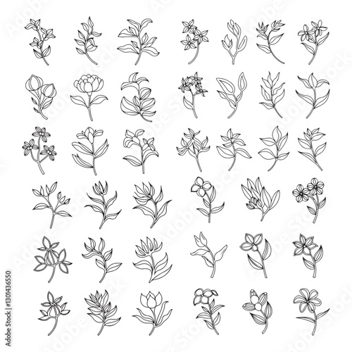 Collection of simple delicate hand drawn flowers, leaves and branches in line art style. Trendy Botanical abstract line arts, hand drawn bouquets of herbs, flowers, leaves and branches, vector illustr