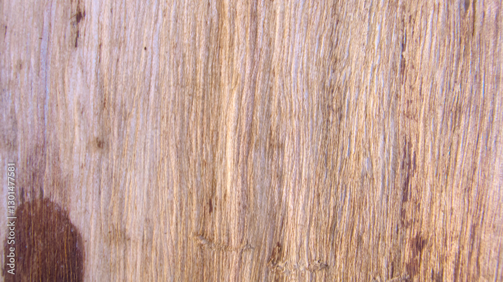 Naklejka premium Light Brown Wood Texture, Under Bark Tree Surface with Natural Vertical Lines Grain, Close up