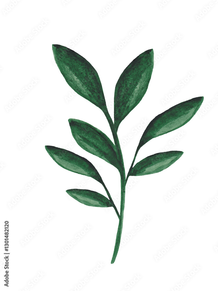 Naklejka premium Watercolor green plant isolated on white background. Floral design element.