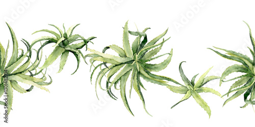 Watercolor aloe vera seamless border