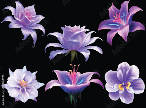 six lilac flowers blooms on black background