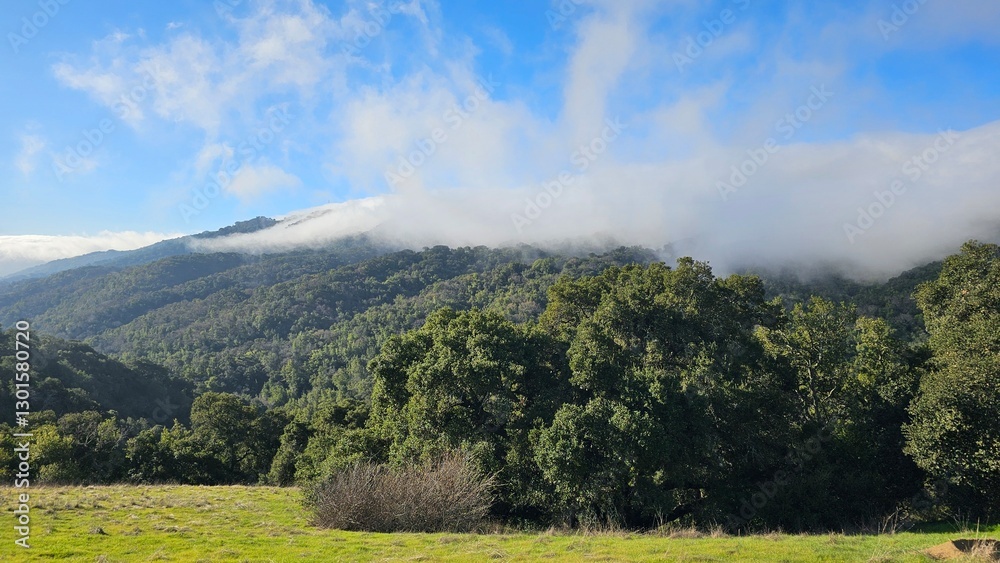 Fototapeta premium landscape in the mountains