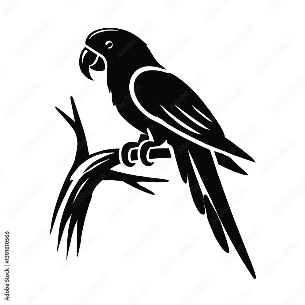 Obraz premium Parrot Silhouette on Tree Branch