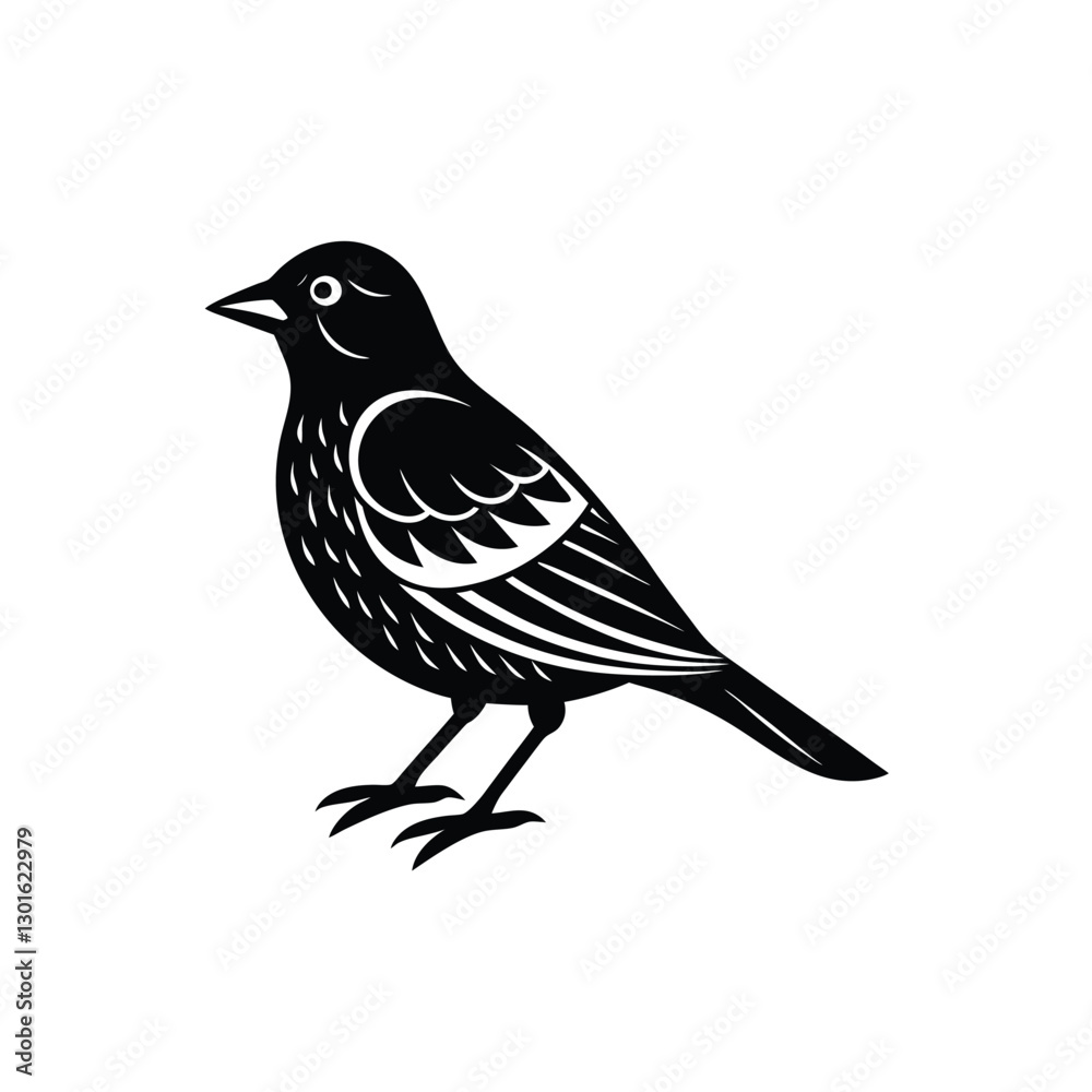 Fototapeta premium bird isolated silhouette on white background.
