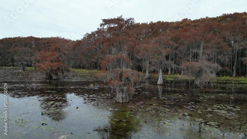 Aerial view of Caddo Lake State Park stunning fall colors.