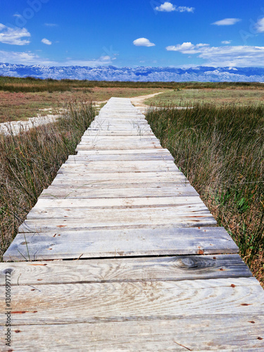 Wooden boardwalk through a marshland under a clear blue sky