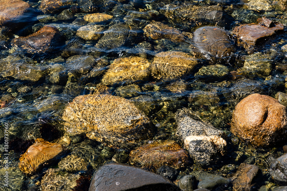 Close-up of vivid wet rocks along a shoreline, displaying intricate natural textures and vibrant colors Close-up of vivid wet rocks along a shoreline, displaying intricate natural textures and vibrant colors