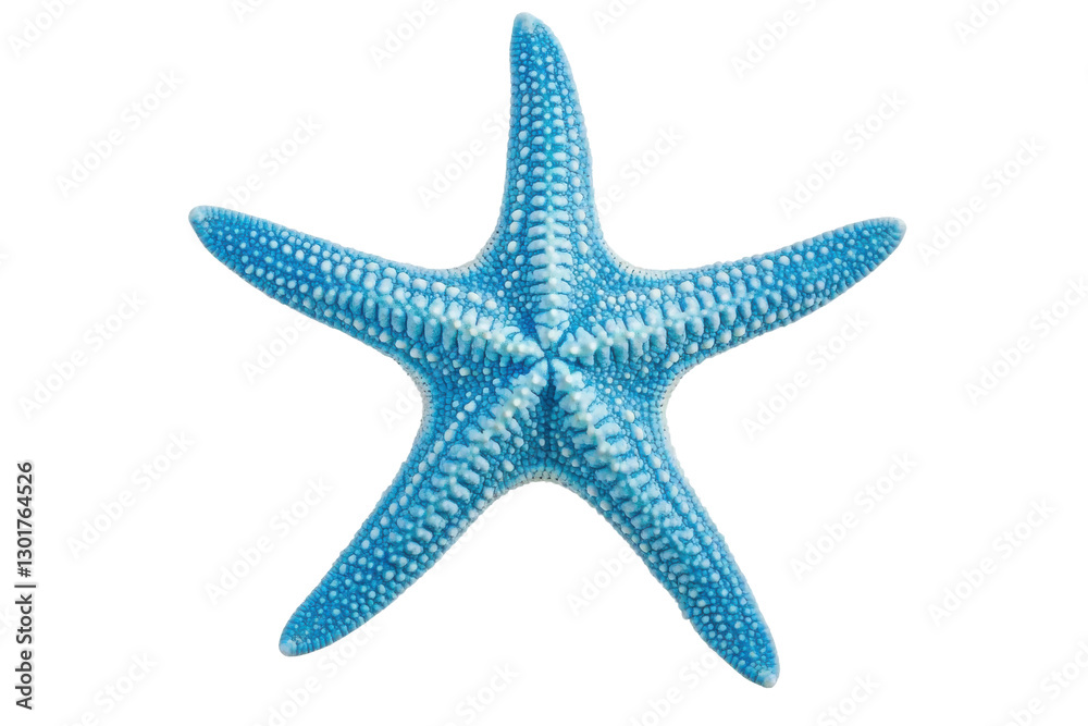 Bright blue starfish on a clean surface, cut out Bright blue starfish on a clean surface, cut out