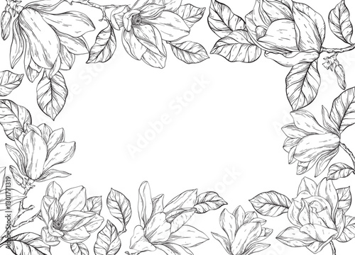 Wallpaper Mural Beautiful line art vector square frame background with magnolia flowers plants. Torontodigital.ca