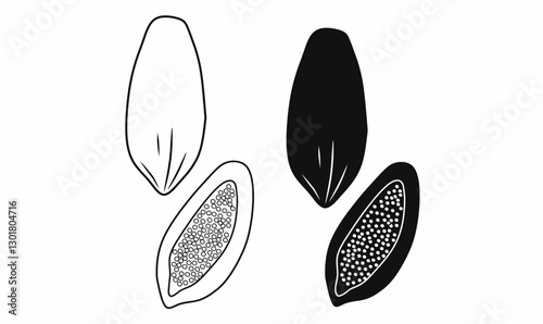 Vector illustration of papaya fruit in outline and silhouette styles. Perfect for food, agriculture, tropical fruit, nutrition, and botanical-themed designs