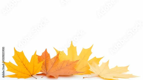 Photo Autumn Leaves Fall Ye...