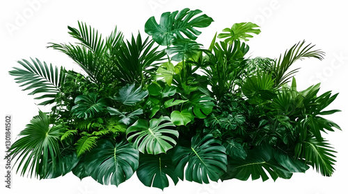 Photo Lush Tropical Green L...