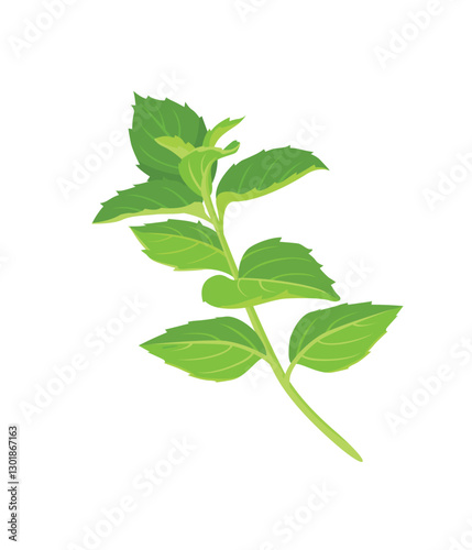 Mint leaf isolated on white background stock illustration
