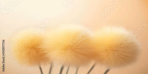 Fluffy Softness Photo Fluff...