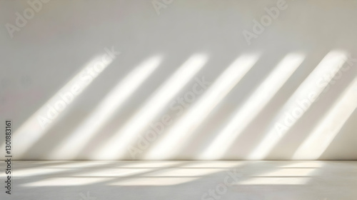 Photo Background Empty Room...