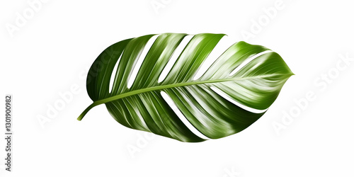 Illustration Green Tropical...