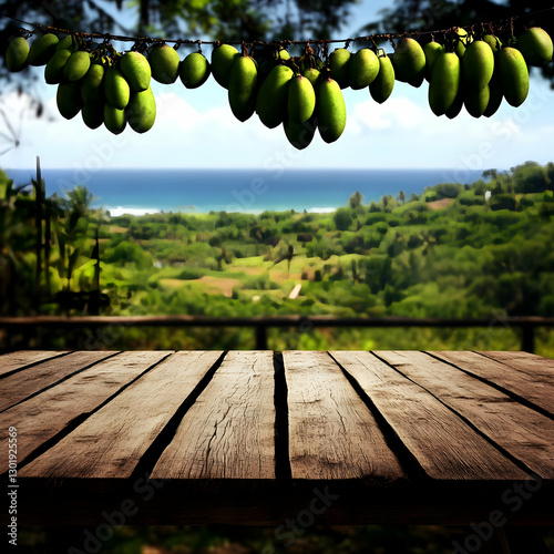 Photo Background - Tropical...