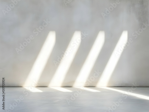 Photo Background Empty Room...