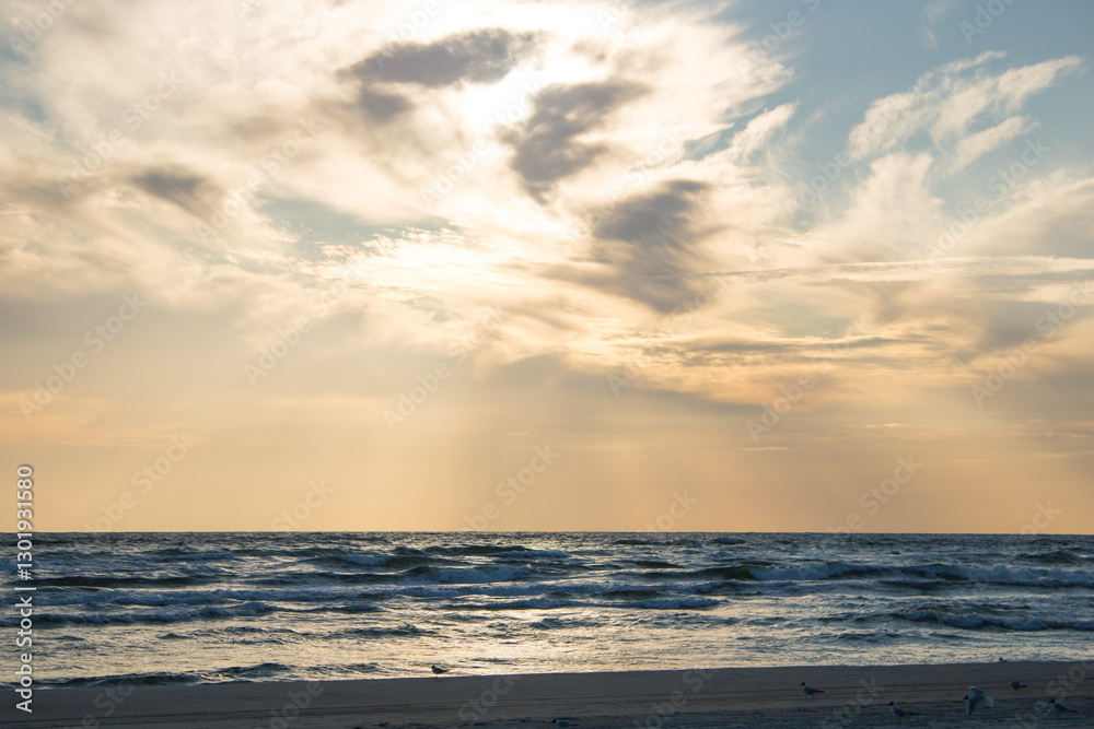 Obraz premium sunset on the beach
