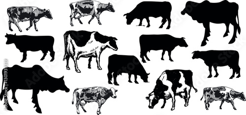 cow silhouette Vector set, cattle silhouettes, diverse breed of cows