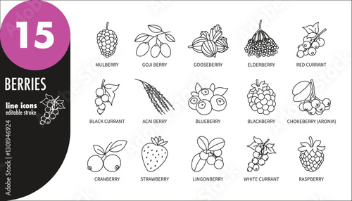 Berries editable stroke thin line icons set. Raspberry, strawberry, cranberry, gooseberry, currant, blueberry, blackberry, mulberry, goji berry, elderberry, acai berry, aronia, vector illustration