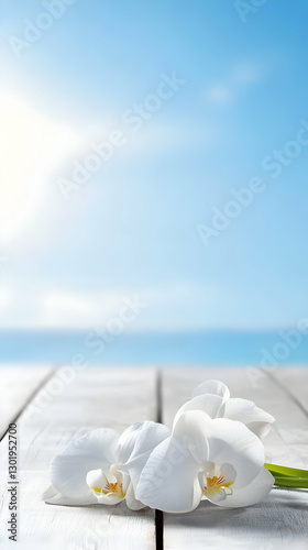 Photo Background - White Or...
