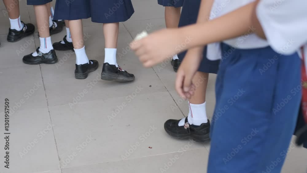 A group of ASIAN Student girls in school uniforms are lined up. The girls are wearing black shoes and blue skirts