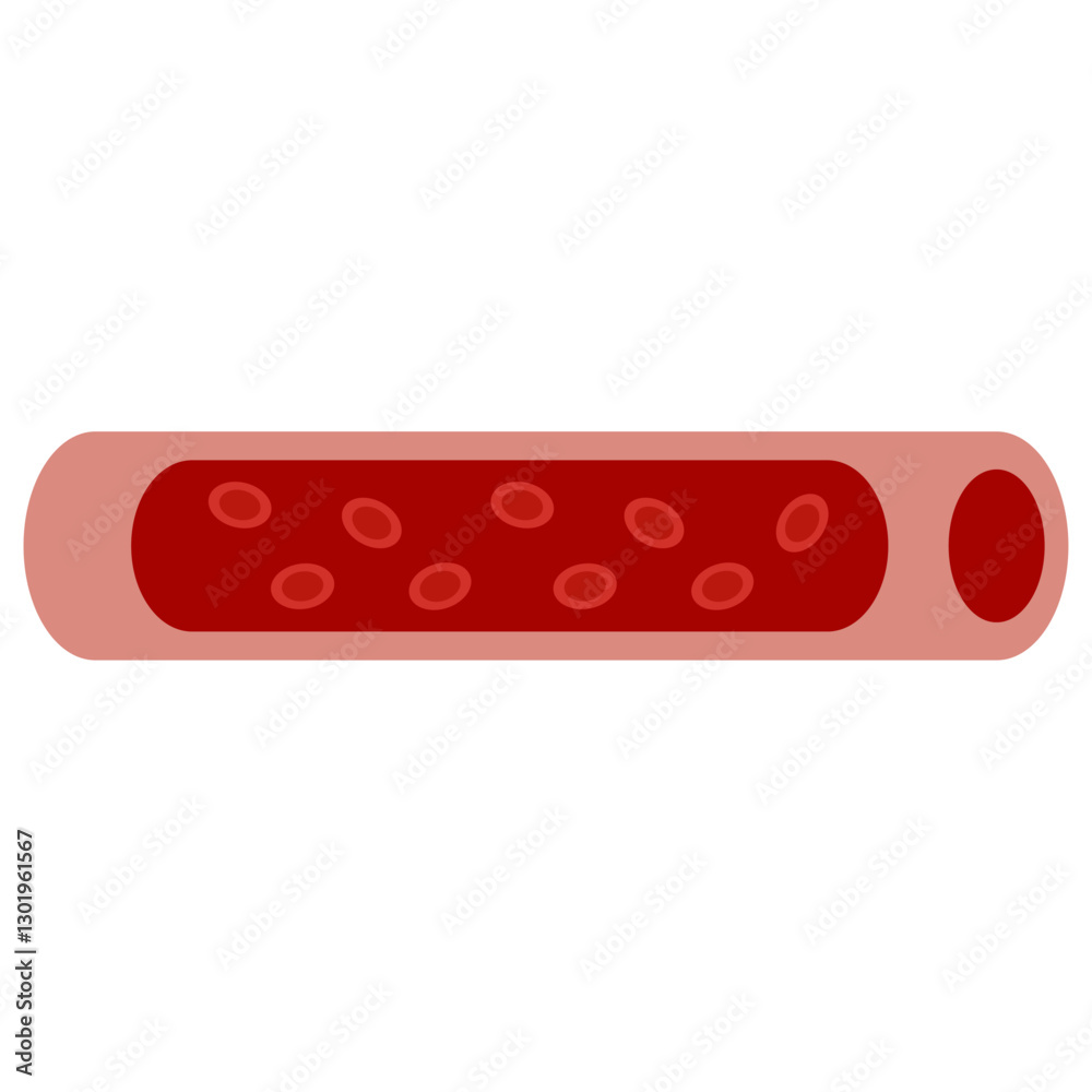 blood vessel colored icon blood vessel colored icon