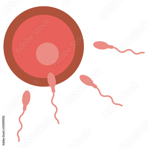 Fertilization colored icon