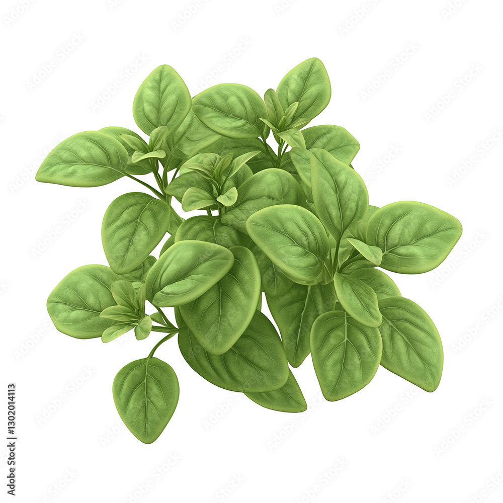 This image presents a vibrant clump of green herbs with many broad leaves and stems, isolated on transparent background. This image presents a vibrant clump of green herbs with many broad leaves and stems, isolated on transparent background.