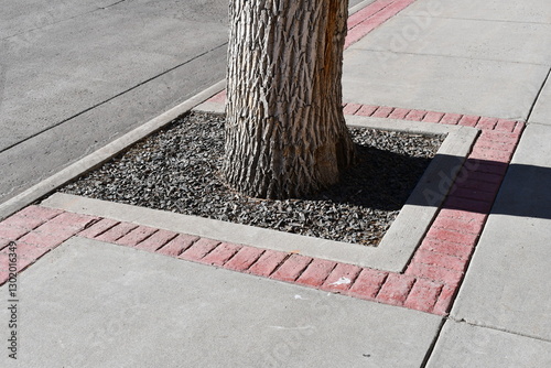Fototapeta Naklejka Na Ścianę i Meble -  City planter on sidewalk. Bricks and concrete. Large tree in the middle.