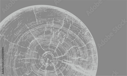Gray monotone impression of end grain of wood slab. Tree rings art with texture and cracked surface.
