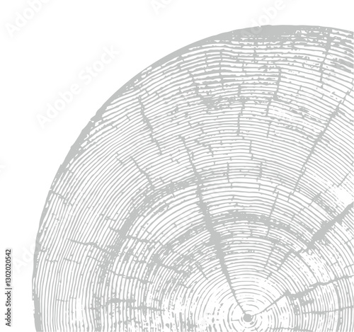Gray monotone impression of end grain of wood slab. Tree rings art with texture and cracked surface.
