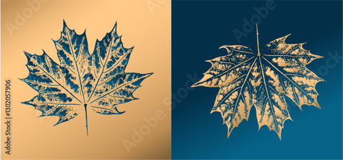 Decorative maple metallic leaf prints or leaf art. Monotone dark green gold and brown botanical leaf illustrations print.
