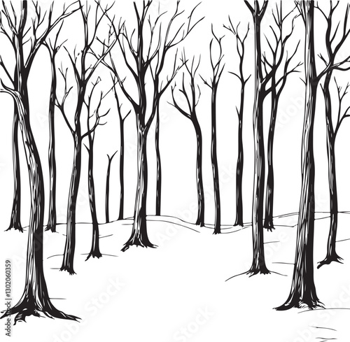 trees in the forest