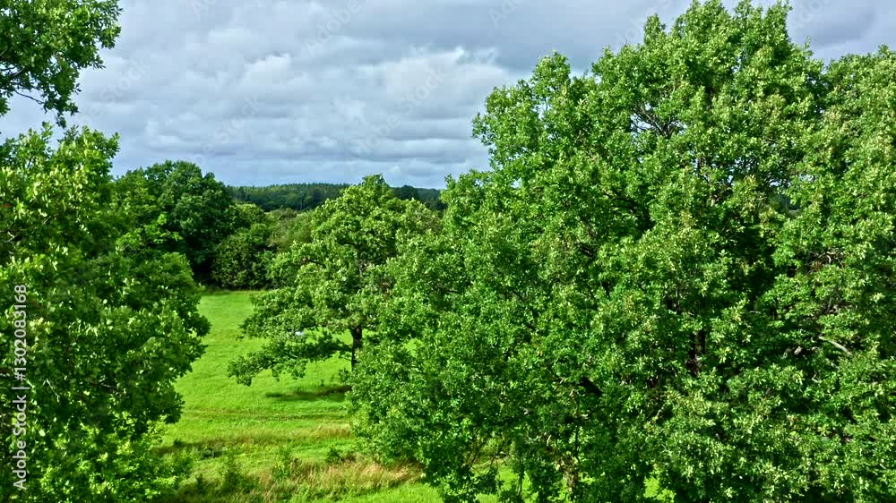 Aerial View of Trees on Meadow with Houses and Forest in the Background, Saaremaa Estonia - Boom Shot