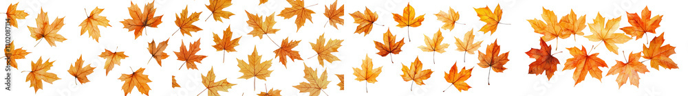 Vibrant Autumn Maple Leaves in Variety of Orange Red and Yellow Colors Scattered on Ground in Picturesque Fall Landscape Vibrant Autumn Maple Leaves in Variety of Orange Red and Yellow Colors Scattered on Ground in Picturesque Fall Landscape