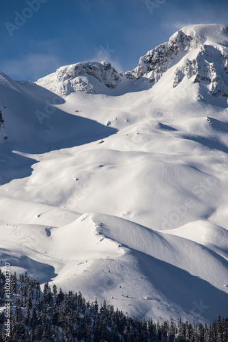 Heli Skiing photo