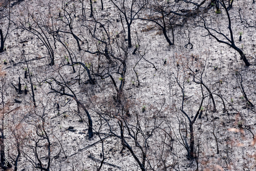 Bushfire damage from the 2025 bushfires started by lightning strikes  in the Grampians (Gariwerd) National Park.